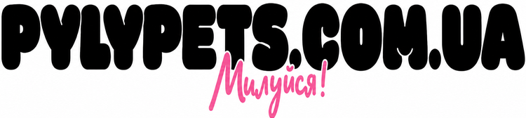Newsfeed Mag